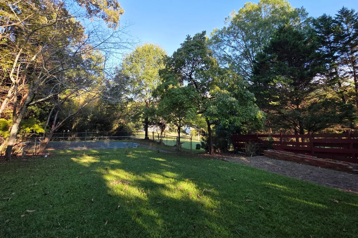 A back yard as photographed on a phone: an open lawn under mature trees, a chain-link fence at the back and a red wood fence at right